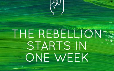 One Week Till the Rebellion Starts!